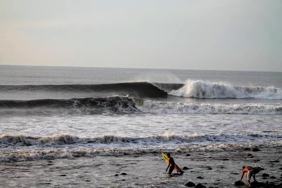 Pelicano Surf Camp La Libertad Exterior photo