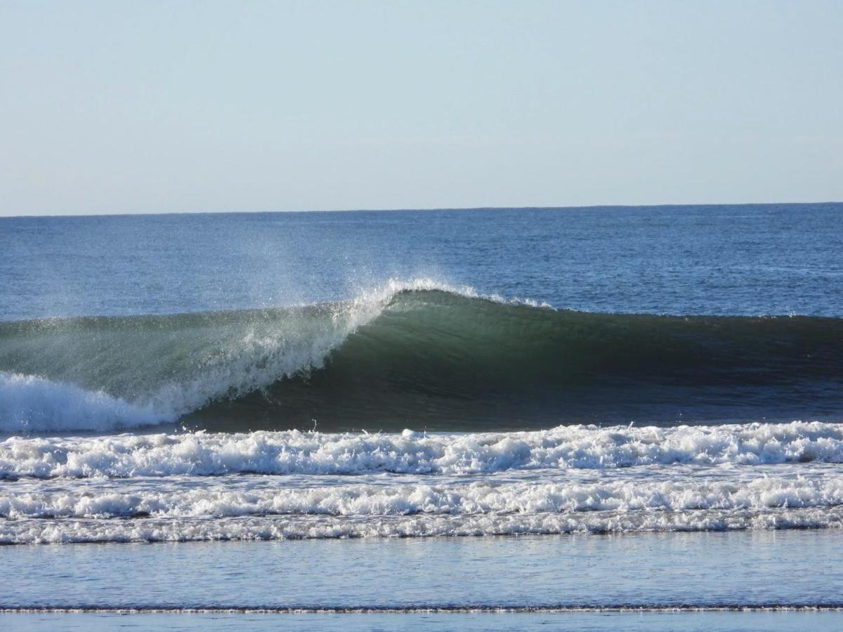 Pelicano Surf Camp La Libertad Exterior photo
