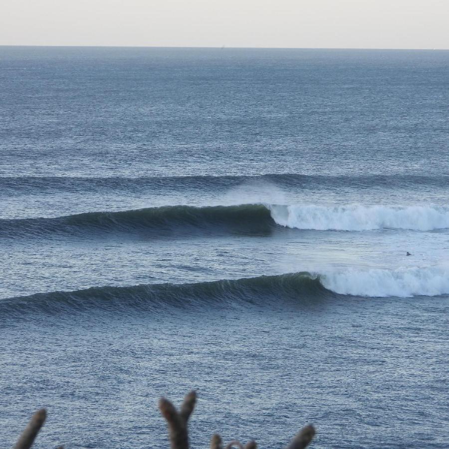 Pelicano Surf Camp La Libertad Exterior photo